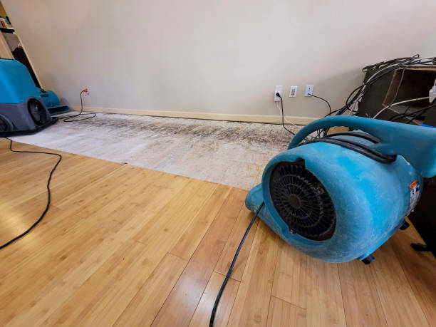 Professional Sewage Cleanup technician working in Indialantic, FL